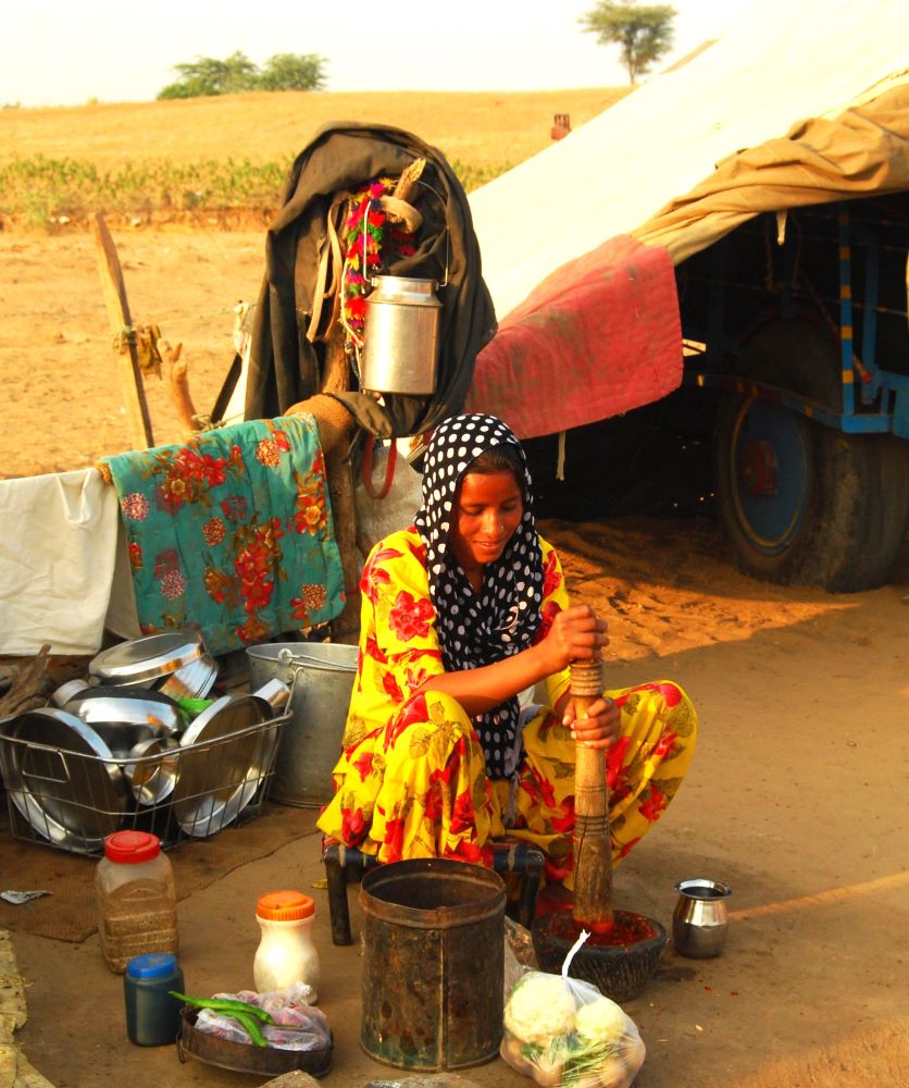 Rajasthan: Palaces, Culture and Holy Waters
