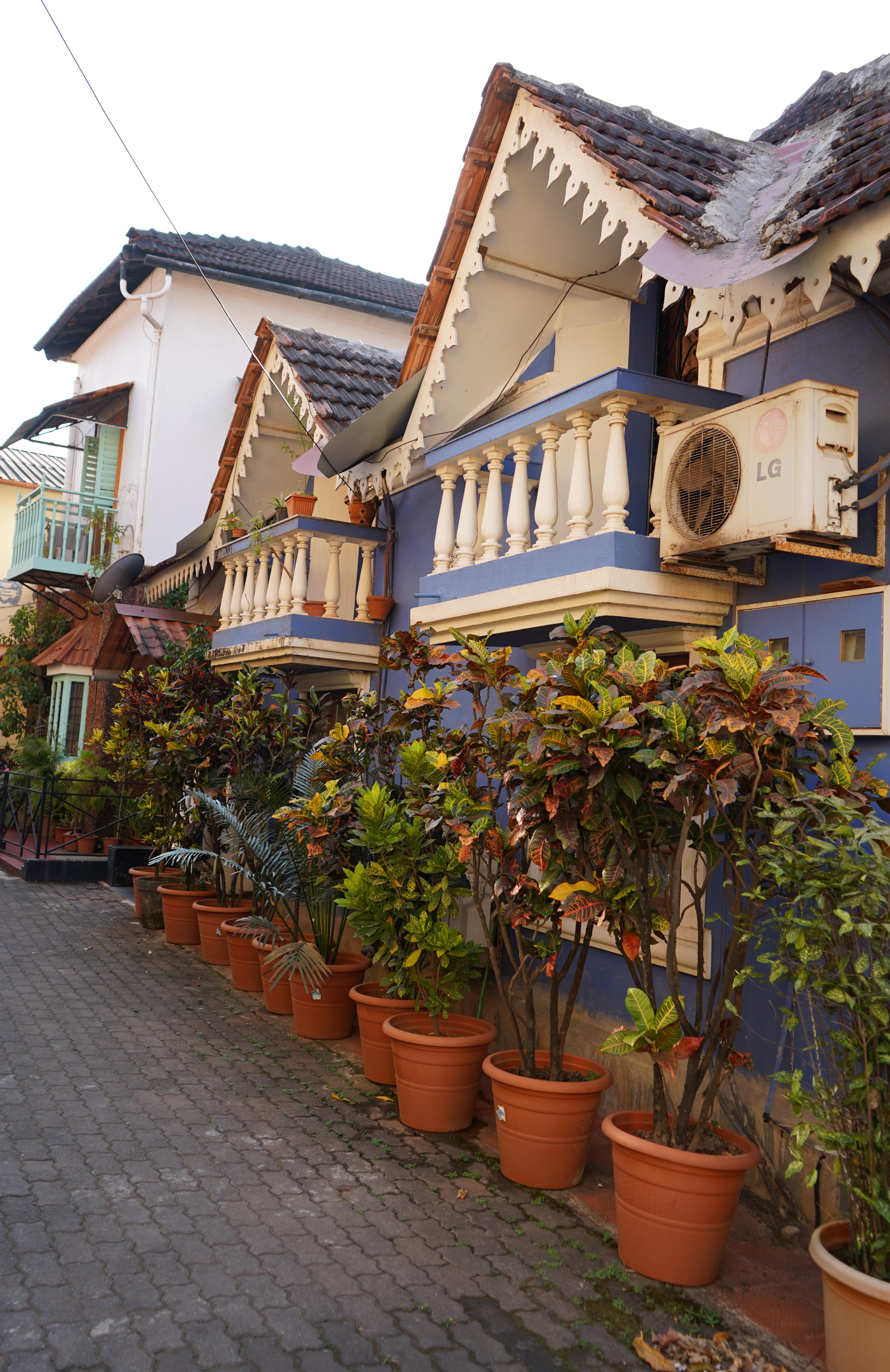 Feni, Forts & Folklore: Redefining Goa Travel!