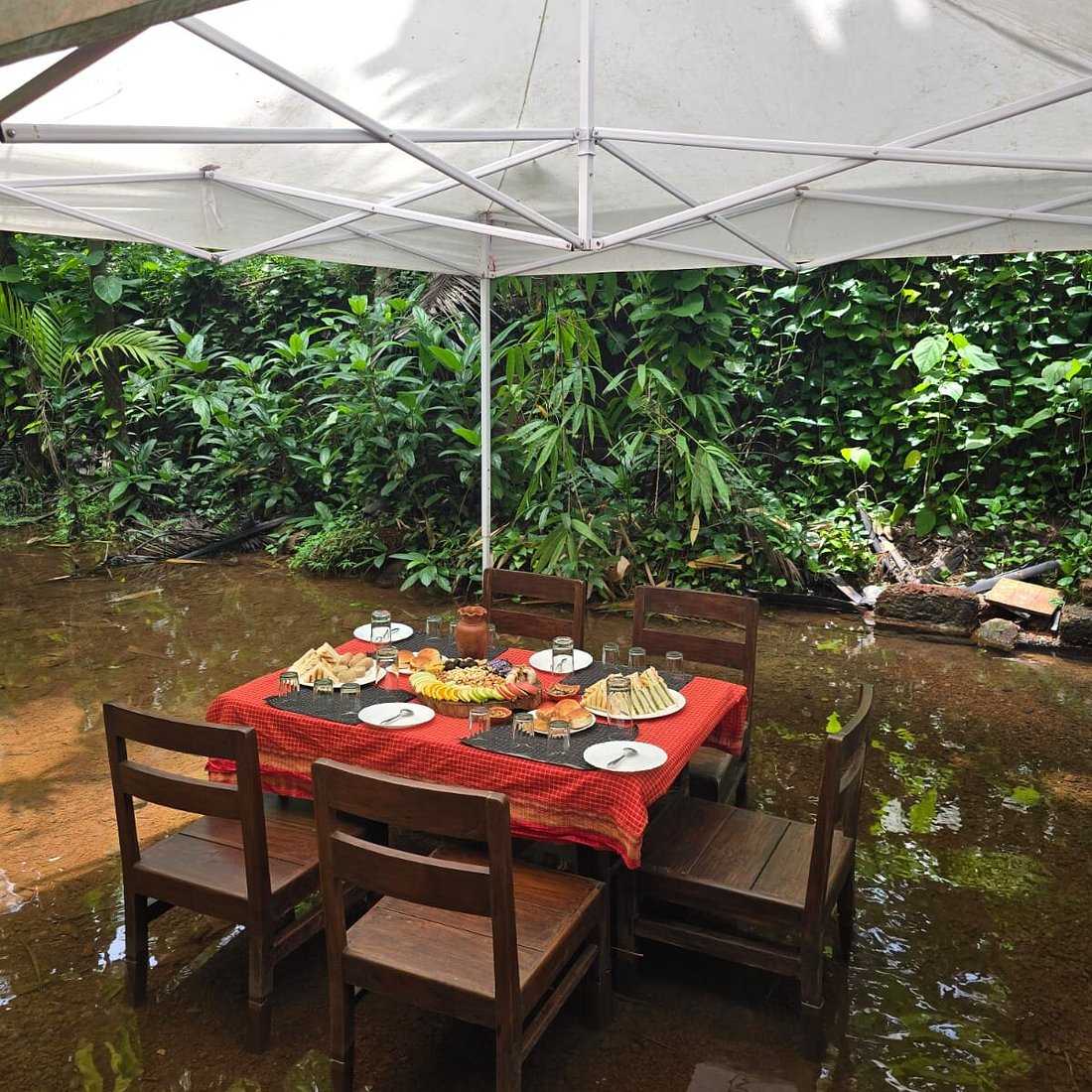 Feni, Forts & Folklore: Redefining Goa Travel!
