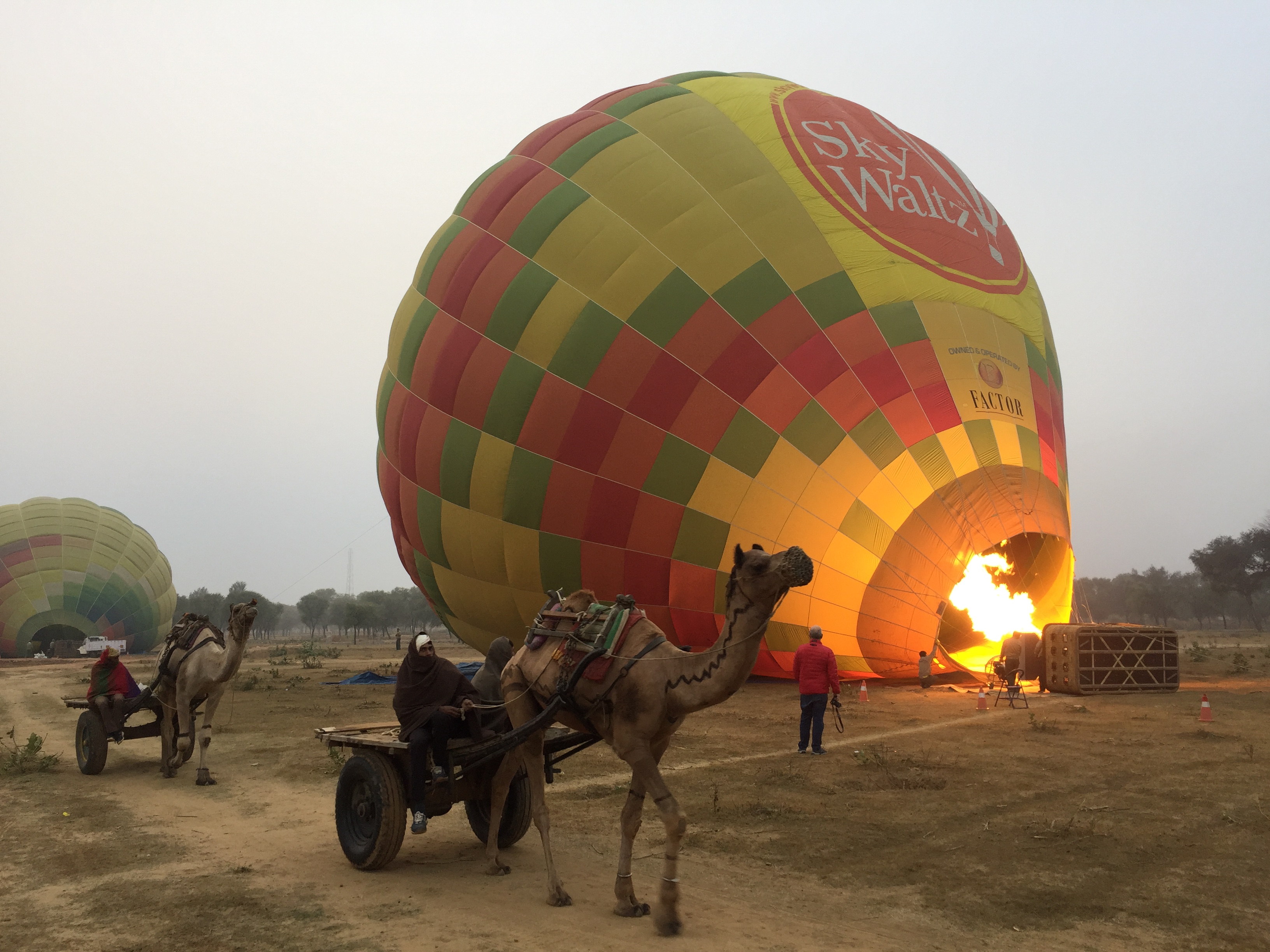 Golden Triangle & Ranthambore