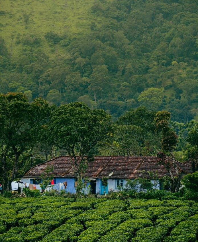 Kerala’s Coastal & Highland Heritage