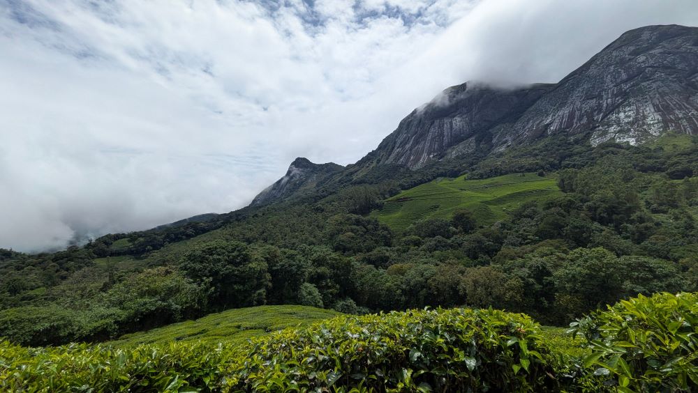 Kerala’s Coastal & Highland Heritage