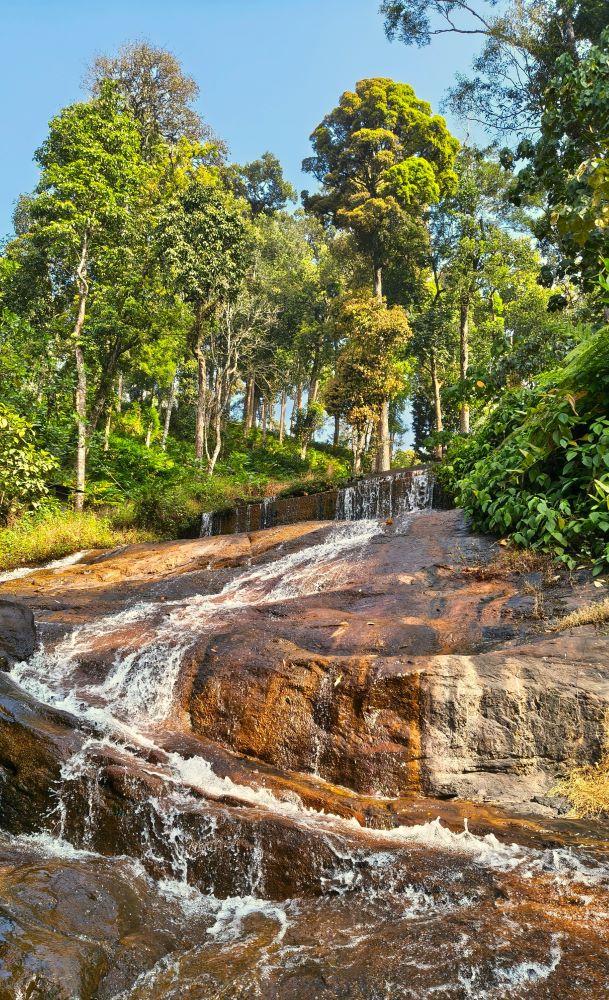 Kerala’s Coastal & Highland Heritage