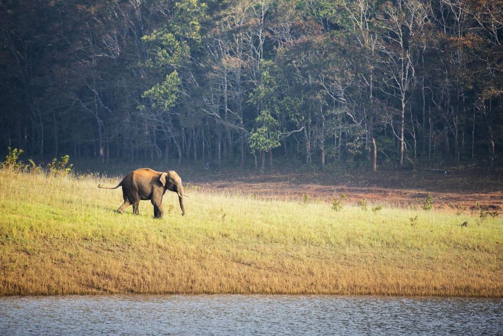 Kerala’s Coastal & Highland Heritage