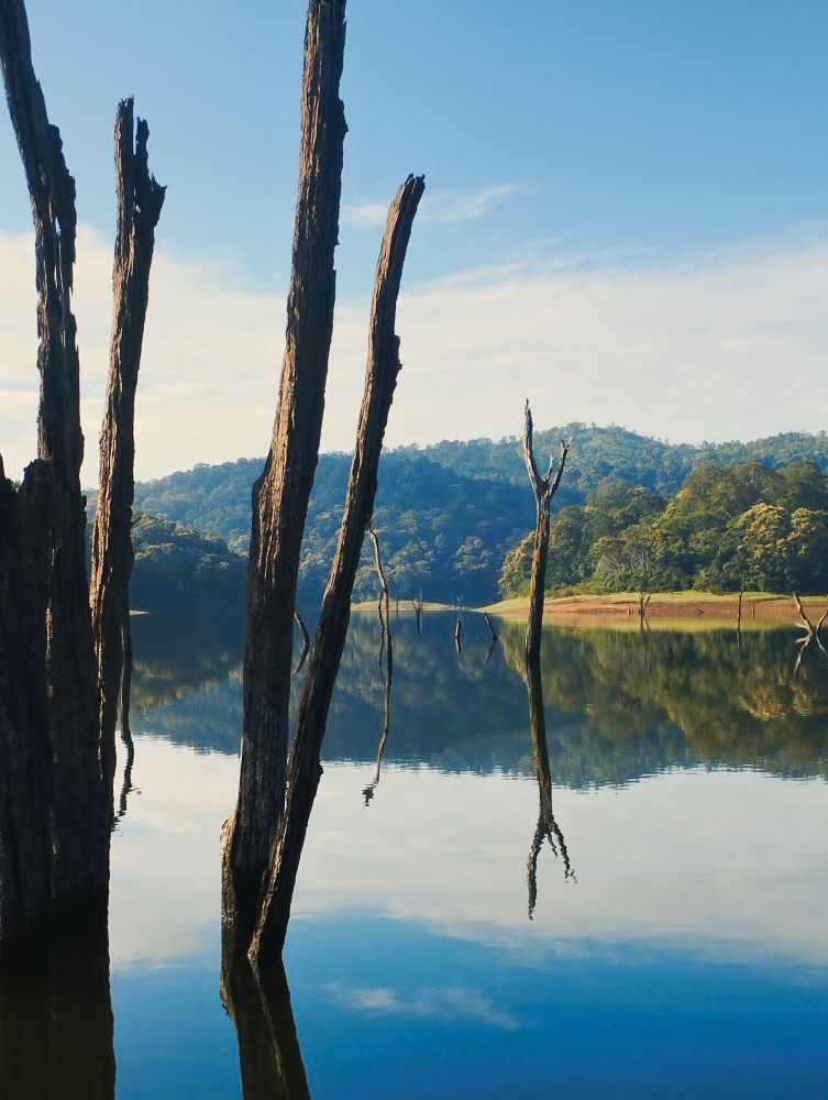 Kerala’s Coastal & Highland Heritage