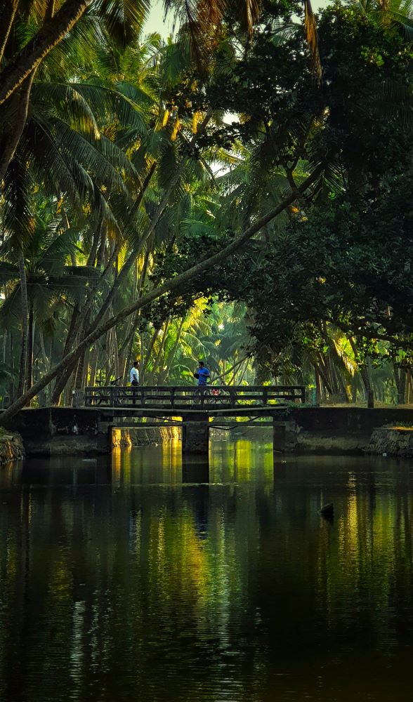 Kerala’s Coastal & Highland Heritage