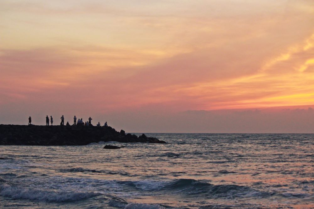 Kerala’s Coastal & Highland Heritage