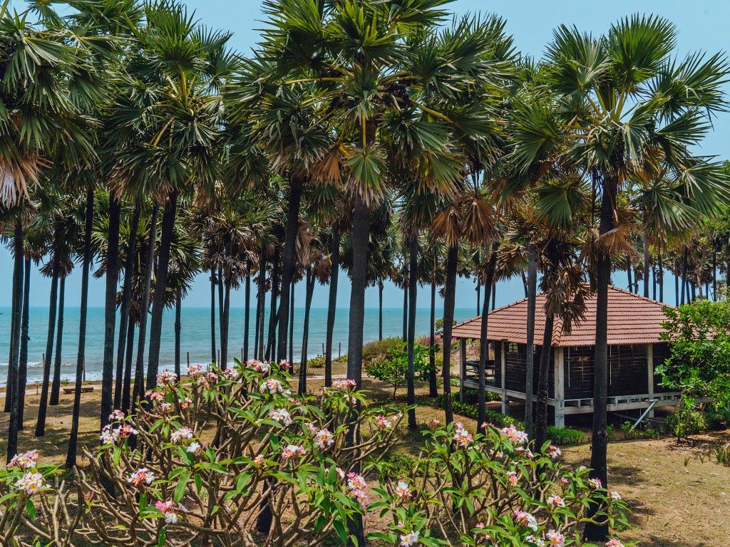 Pondicherry - A Wellness & Cultural Escape