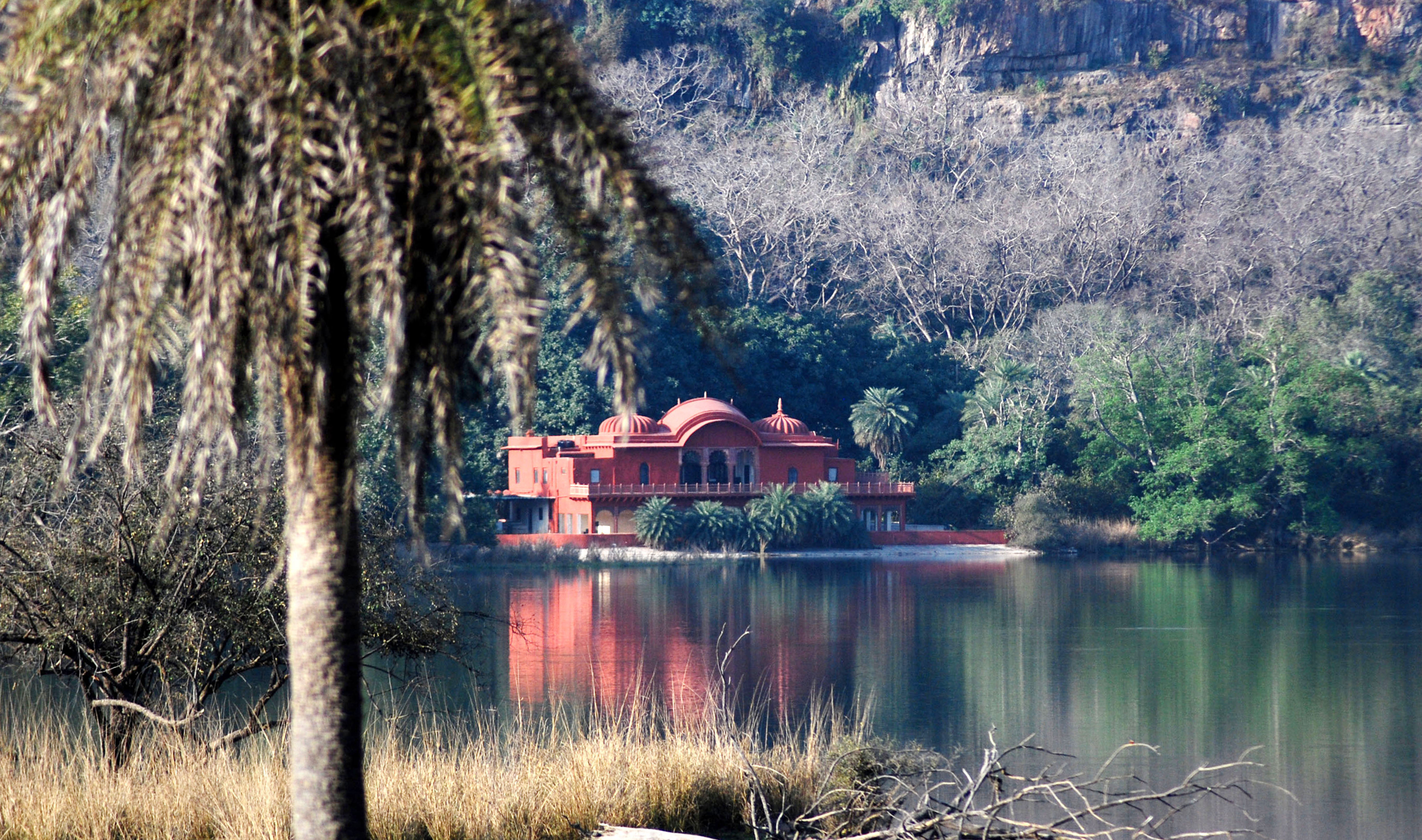 Golden Triangle & Ranthambore