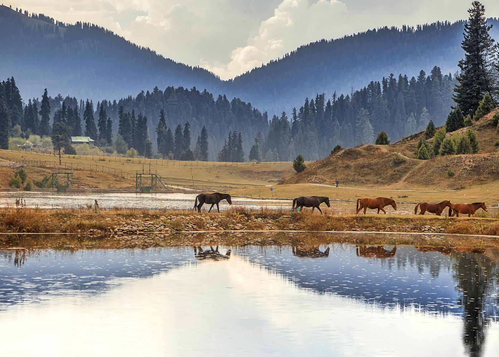 Kashmir - The Paradise Reclaimed