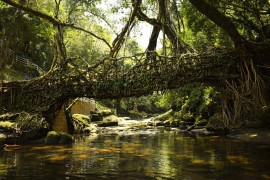 Meghalaya’s Natural Wonders